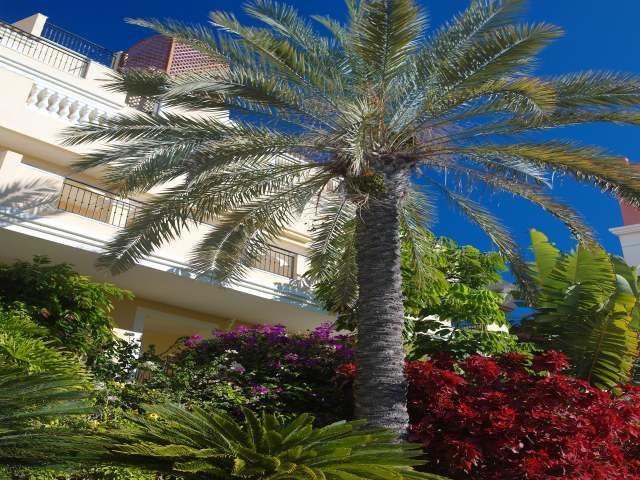 Apartamentos Granada Park Playa de las Americas  Exterior foto